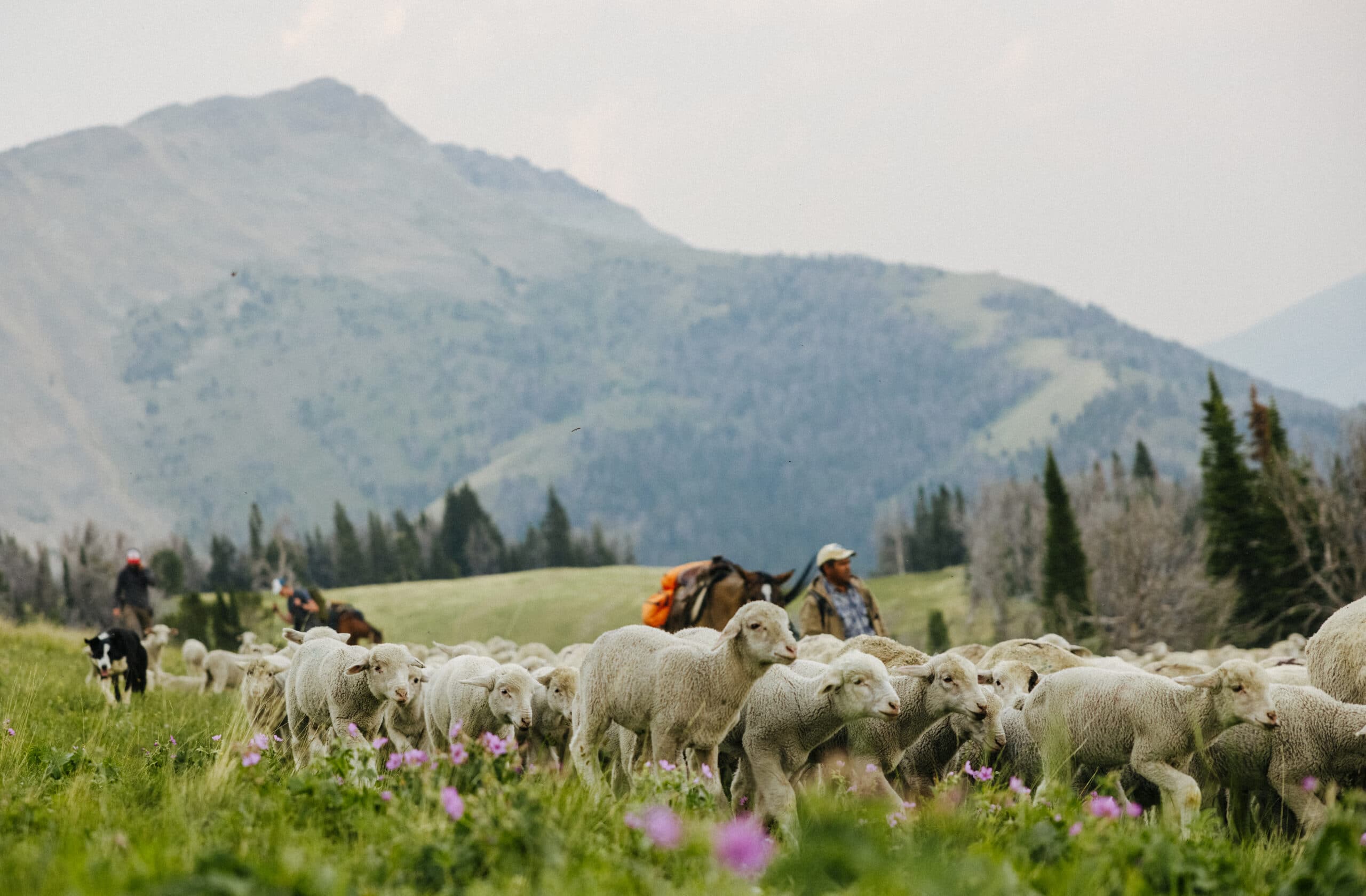 Busch Light and John Deere Team Up to Support American Farmers