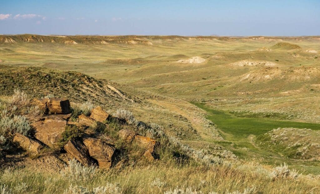 BLM Announces Funding for Land Restoration Northern Ag Network