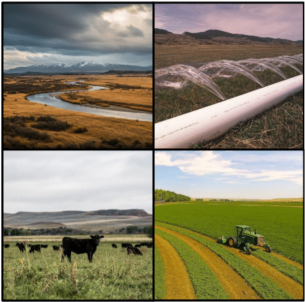 Cowboy State Agriculture Initiative Charts Path Forward for Wyoming Working Lands